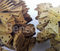 332-C4390 Taglierina dell'acciaio al carbonio del dente del secchio dell'escavatore dell'acciaio legato