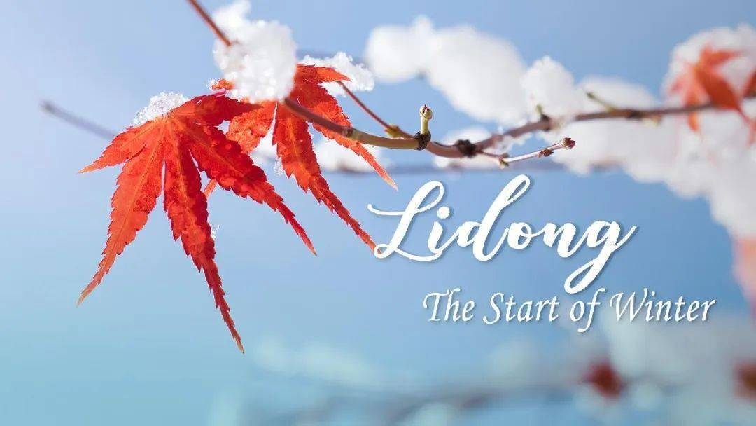 Inizio dell'inverno: una stagione di riposo e riflessione